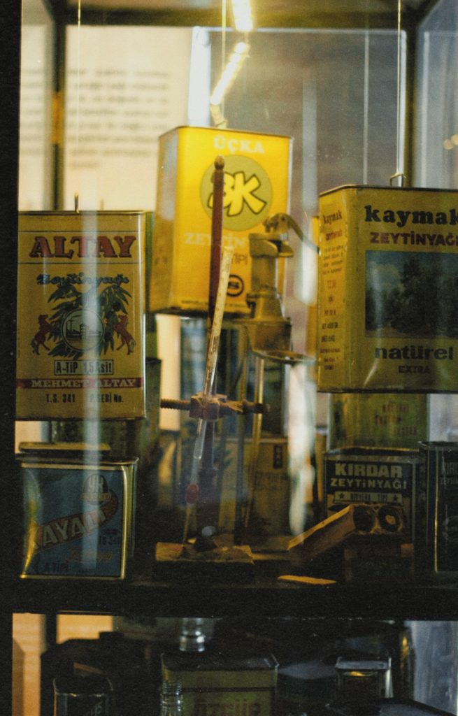 Unleashing the Power of Emotional Intelligence for Career Success