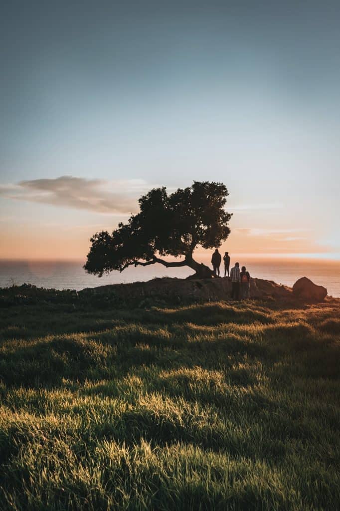Cultivating a Culture of Leadership