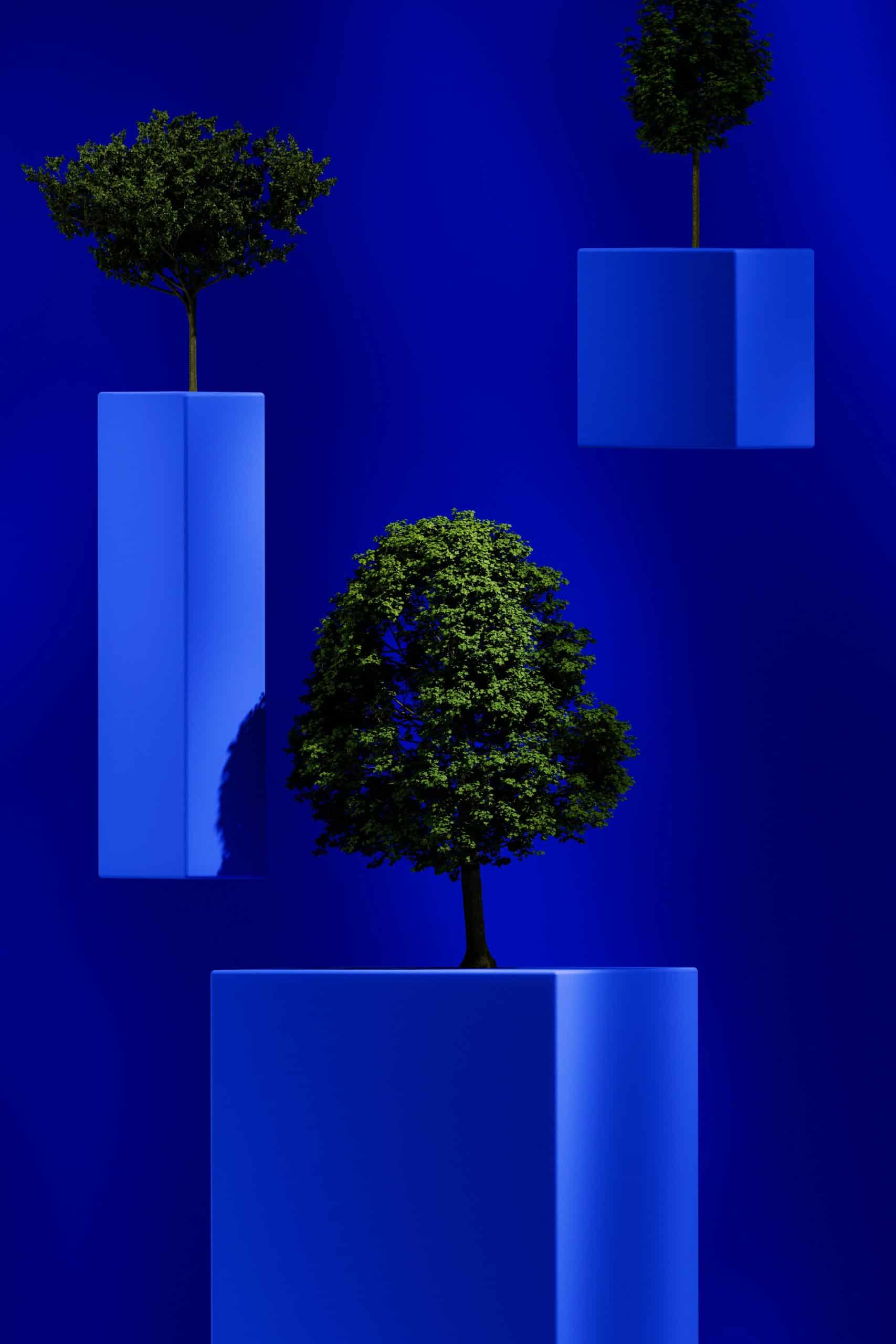 Navigating Through Crisis: Insights from the Management Experts